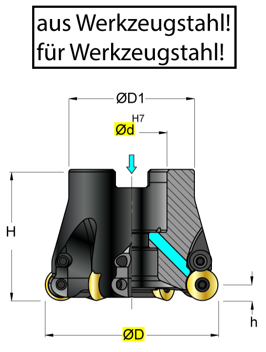 Torus-Fräser Rundplatte Aufsteckvariante Typ...635005.16