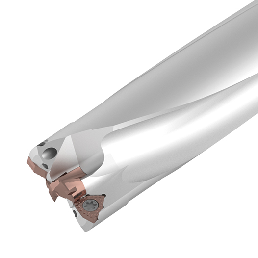 DXP-10 D43-S50-P16E08 HOLDERS|Nikko