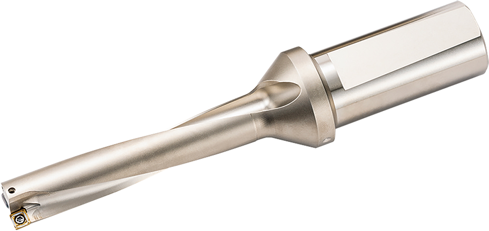 S25-DRV170M-5-05 - Halter|Kyocera